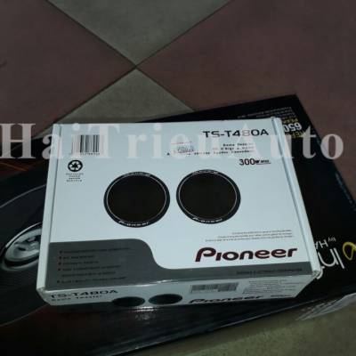 Pioneer TS-G1045R