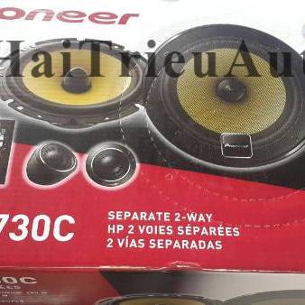 Pioneer TS-D1720C