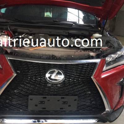 Bệ bước điện theo xe Lexus RX 300