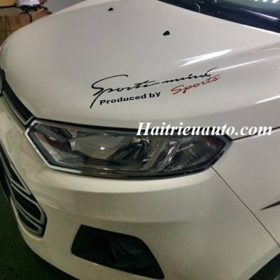 Viền đèn sau Ecosport