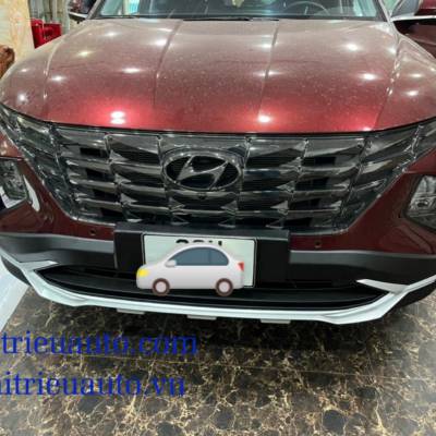Hệ thống nước hoa xe hyundai Elantra