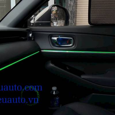 Led nội thất xe Ford Teritory