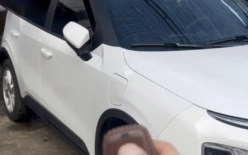 Gương gập điện cho Vinfast Limo Green 3 Image