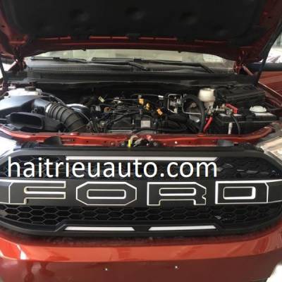 Chén cửa mầu đen cho xe Ford Everest